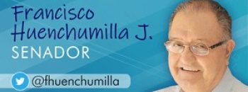 https://www.tiempo21.cl/wp-content/uploads/huenchumilla-1.jpeg